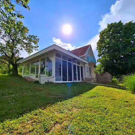 Honey hill apartment Fruska Gora Cerevic Exteriör bild