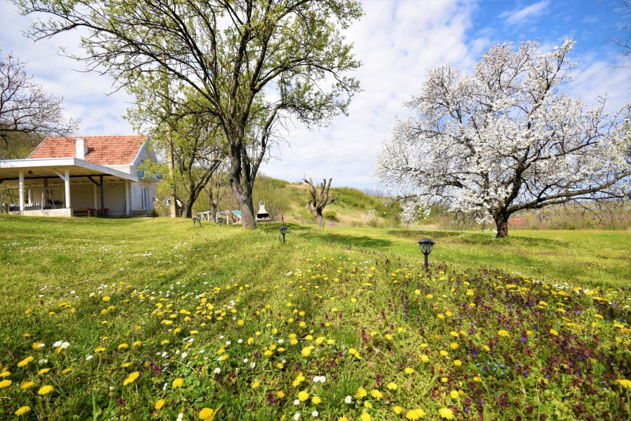 Honey hill apartment Fruska Gora Cerevic Exteriör bild