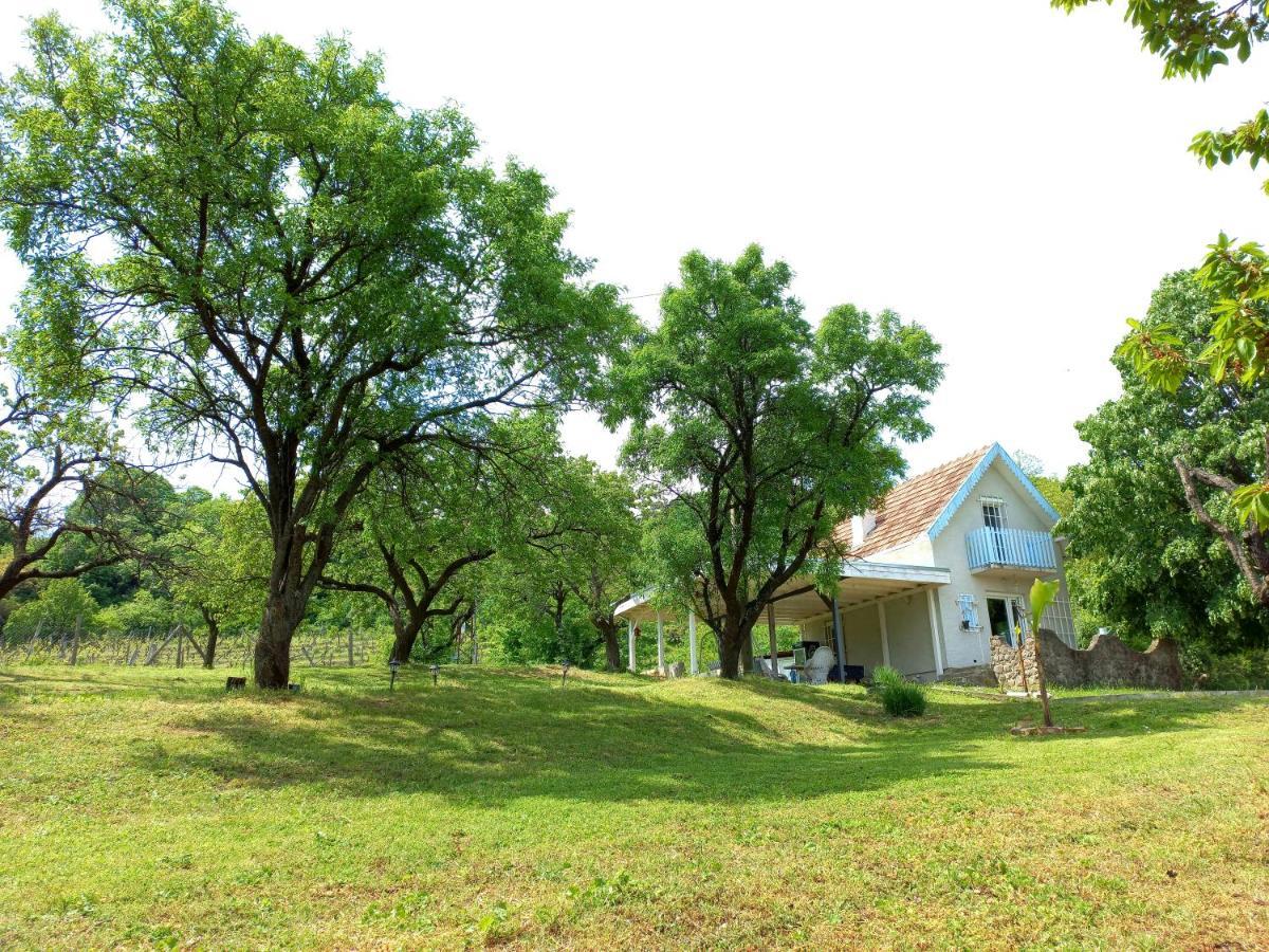 Honey hill apartment Fruska Gora Cerevic Exteriör bild