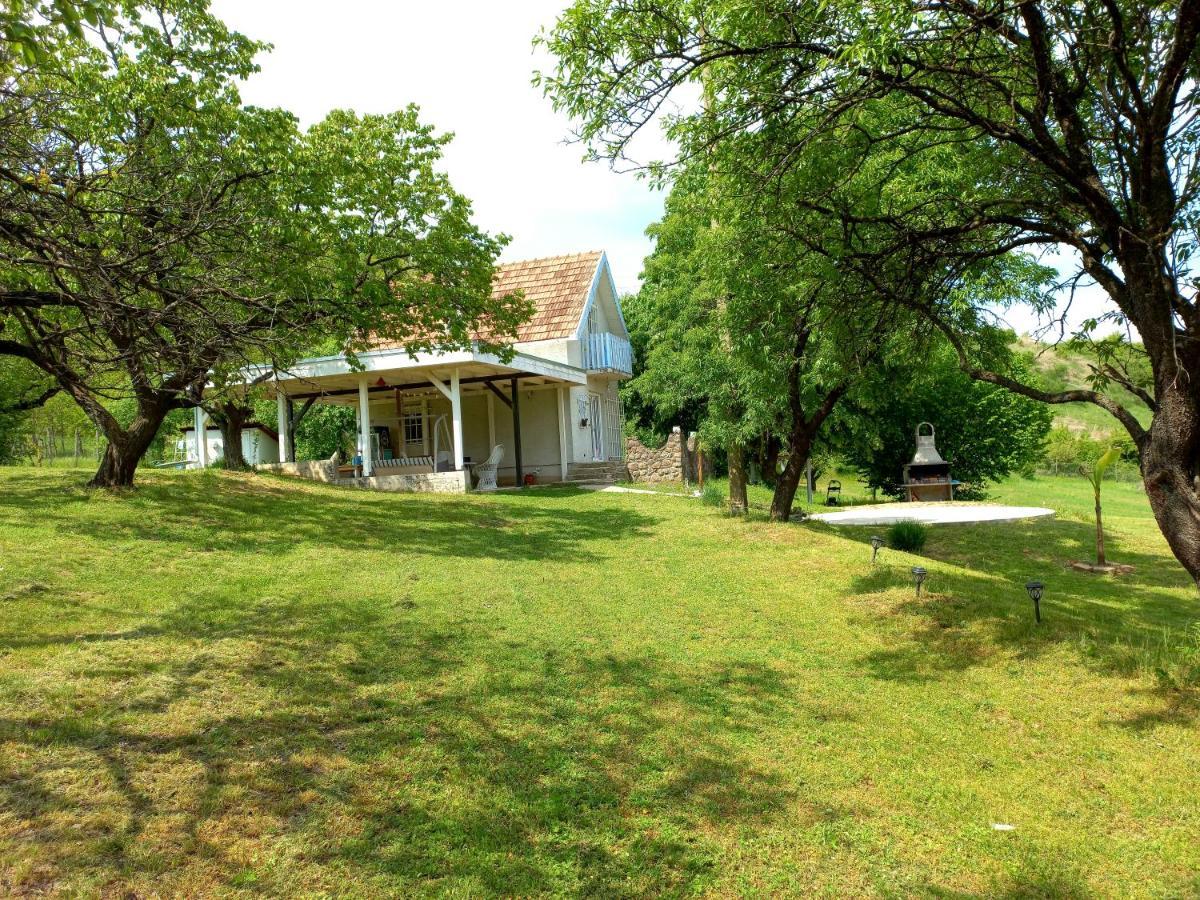 Honey hill apartment Fruska Gora Cerevic Exteriör bild