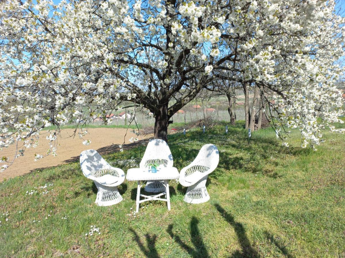 Honey hill apartment Fruska Gora Cerevic Exteriör bild